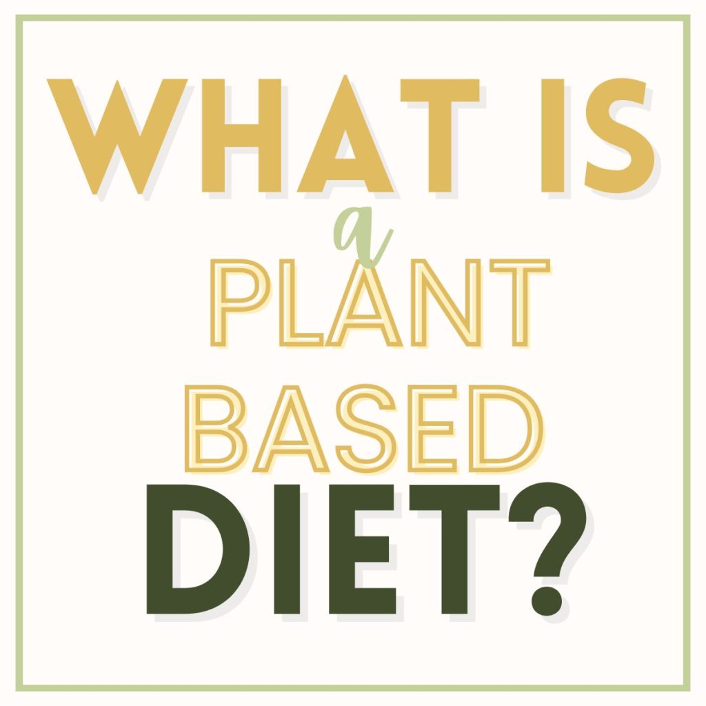 Text reading what is a plant based diet?
