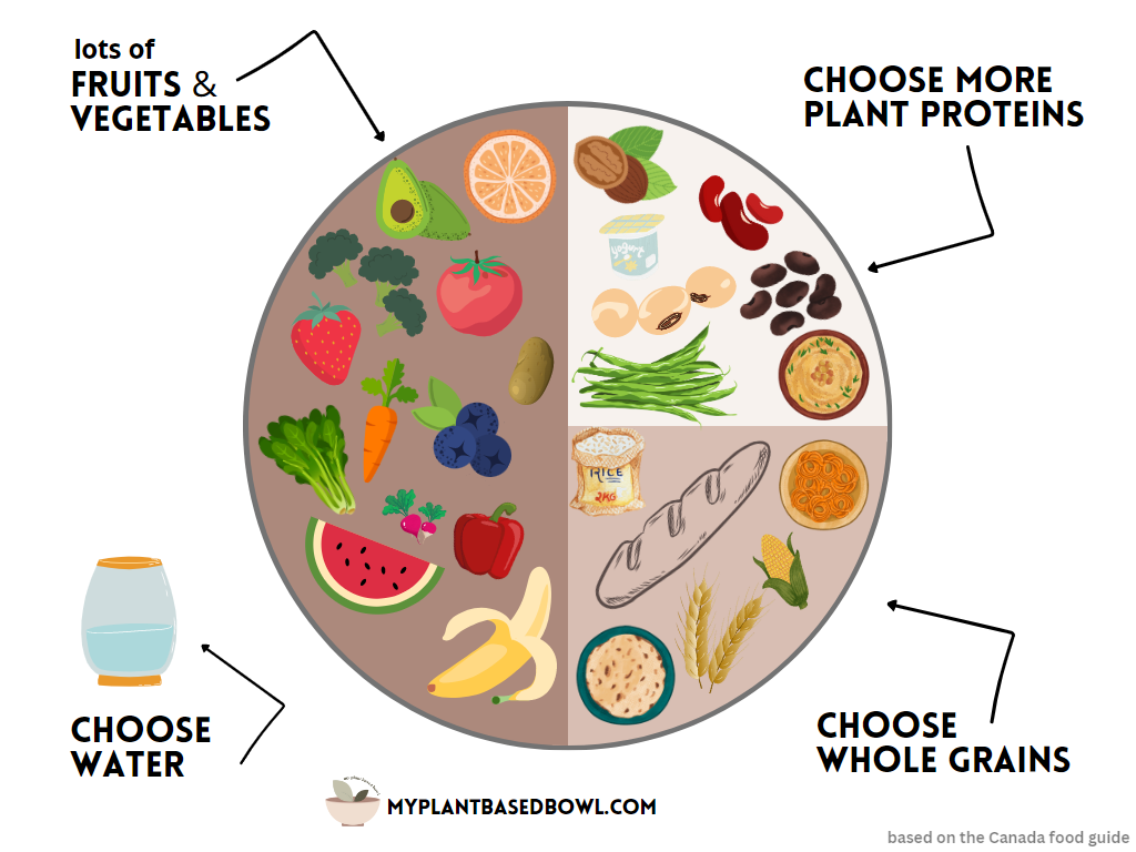 A drawn plate half full of fruit and vegetables. a quarter with beans, and a quarter with grains to illustrate the plate method.