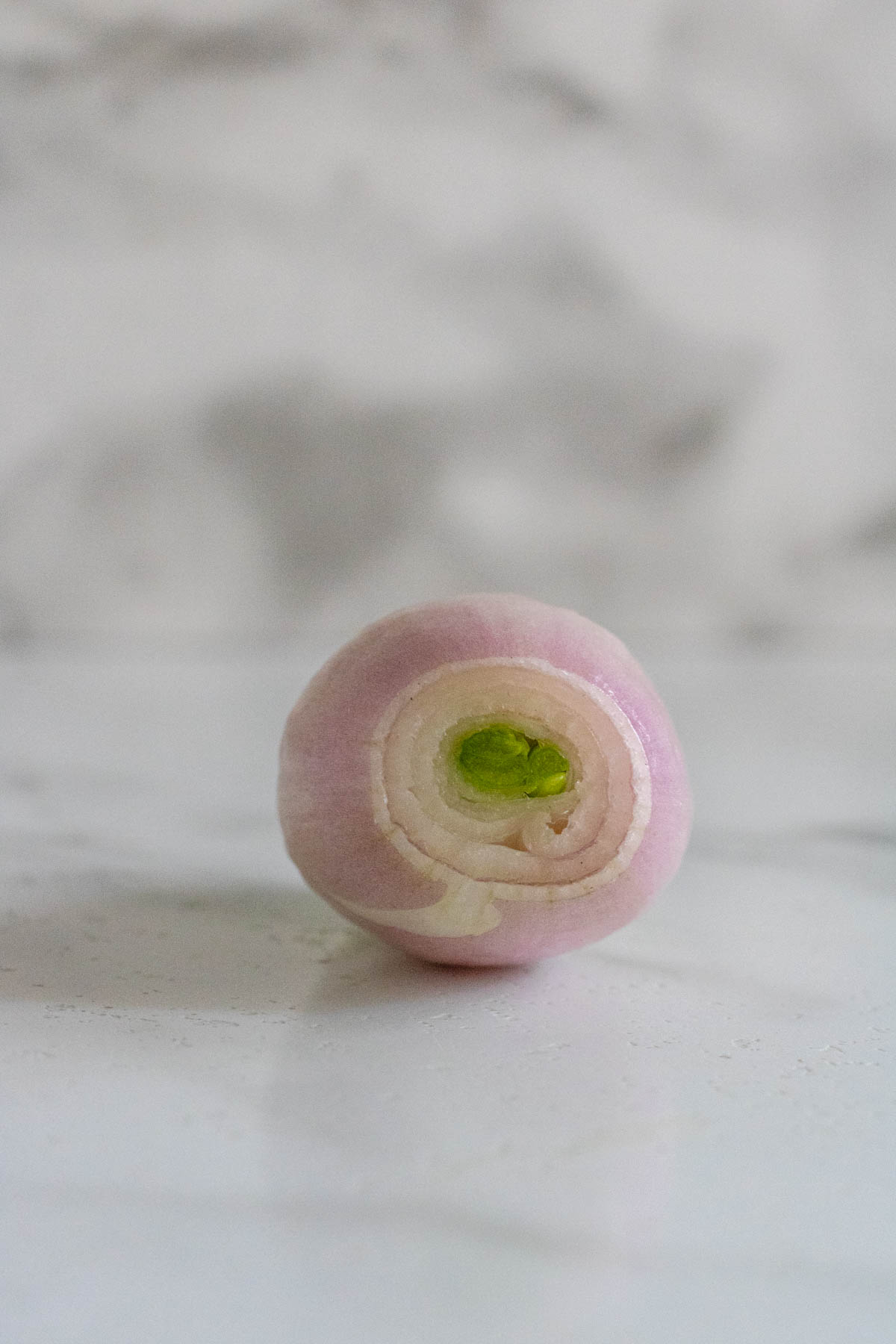 A peeled shallot with a side view of its rings.
