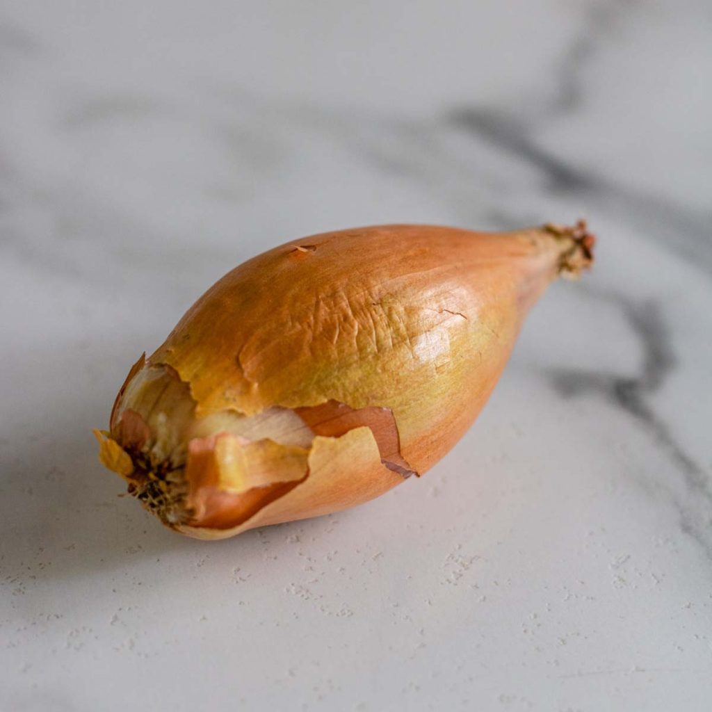 A whole shallot on a white marble counter.
